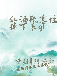 红酒瓶塞住不准掉下来gl