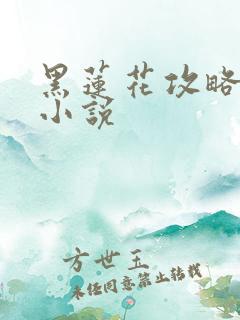 黑莲花攻略手册小说