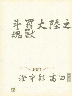 斗罗大陆之最强魂兽