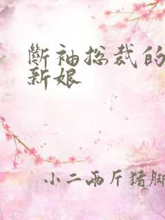 断袖总裁的落跑新娘