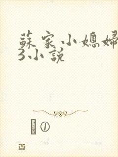 苏家小媳妇1V3小说