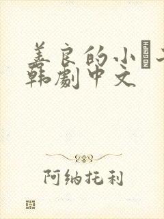 善良的小峓子2韩剧中文