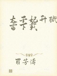 太子妃升职记迅雷下载