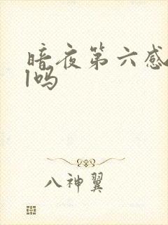 暗夜第六感是bl吗