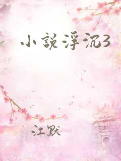 小说浮沉3