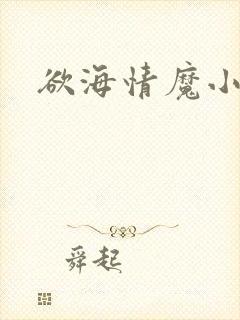 欲海情魔小说