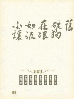 小如在破旧仓库让流浪狗