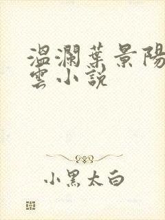 温澜叶景阳温云云小说