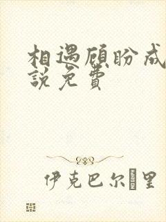 相遇顾盼成欢小说免费