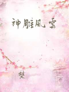 神雕风云