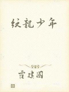 纹龙少年