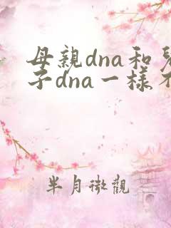 母亲dna和儿子dna一样不