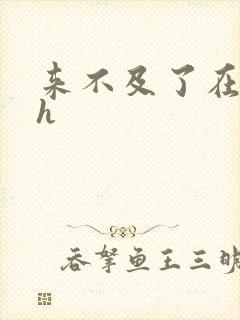 来不及了在车ch