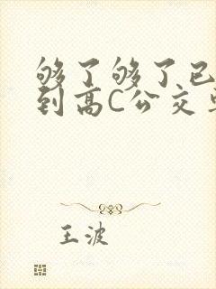 够了够了已经满到高C公交车