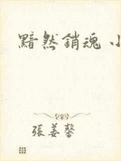 黯然销魂 小说