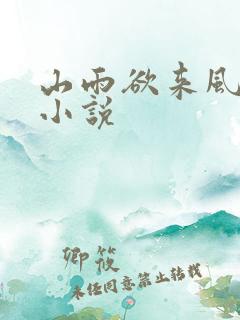 山雨欲来风满楼小说