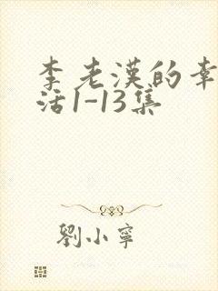 李老汉的幸福生活1-13集