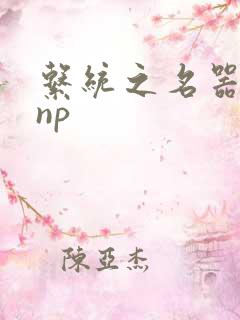 系统之名器攻略np