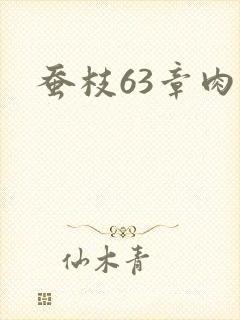 蚕枝63章肉