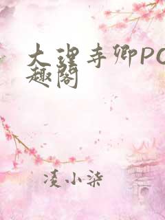 大理寺卿PO笔趣阁