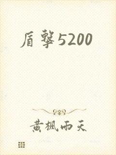 盾击5200