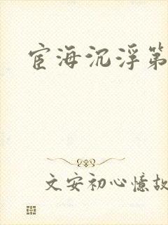 宦海沉浮第三部