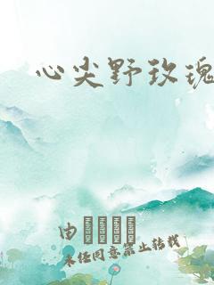 心尖野玫瑰