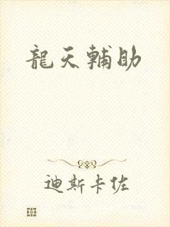 龙天辅助