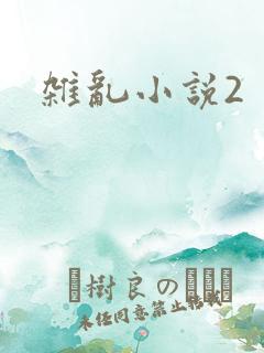 杂乱小说2
