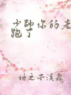 少帅你的老婆又跑了