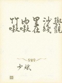 竹内里沙与黑人嗷嗷在线观看