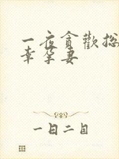 一夜贪欢总裁的幸孕妻