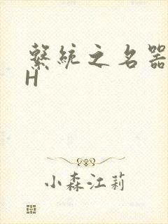 系统之名器勾男H