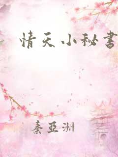 情天小秘书