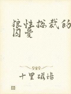 狼性总裁的地下囚爱