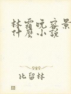 林霜晚容景渊是什么小说