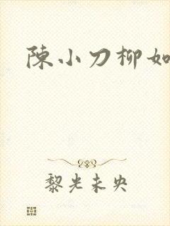 陈小刀柳如意