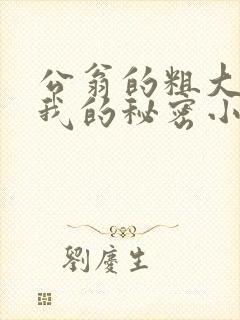 公翁的粗大放进我的秘密小说