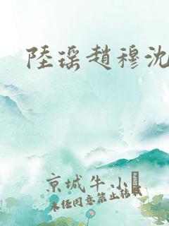 陆瑶赵穆沈依依