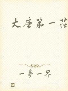 大唐第一庄