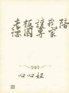 老板让我陪两个德国专家