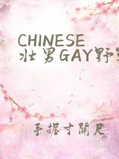 CHINESE壮男GAY野战强迫TUBE
