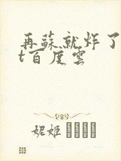 再苏就炸了txt百度云