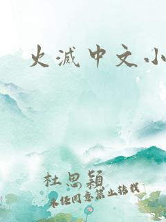 火灭中文小说