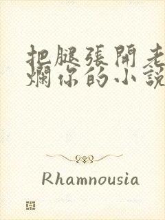 把腿张开老子臊烂你的小说