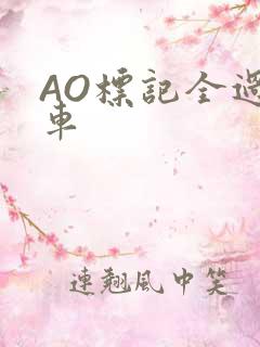 AO标记全过程车