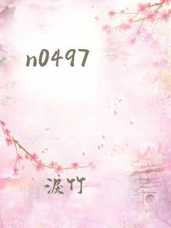 n0497