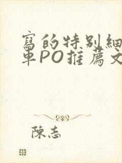 写的特别细的开车PO推荐文多人