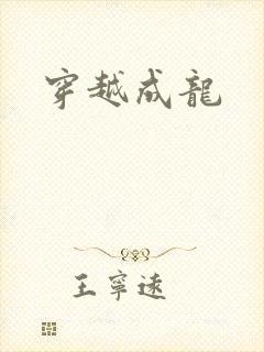 穿越成龙
