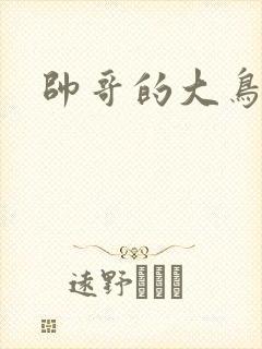帅哥的大鸟